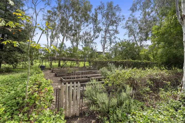 Raised Beds for Gardening