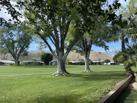 Back Patio View