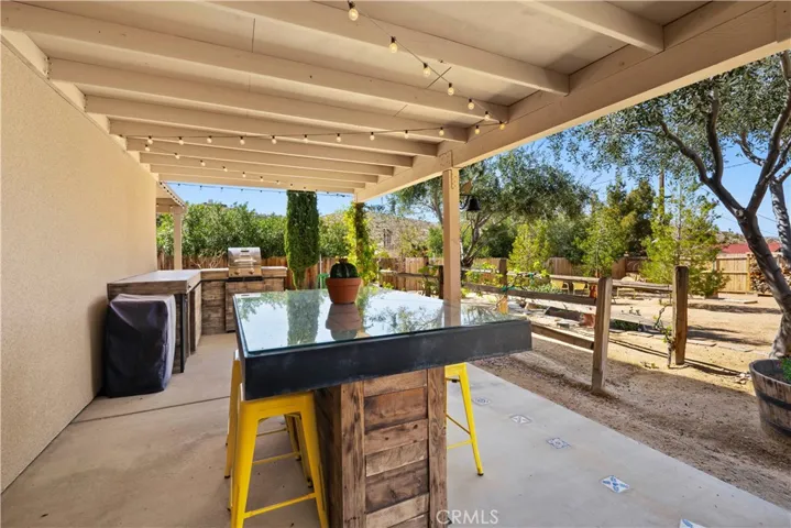 Outdoor dining. Grape vines.