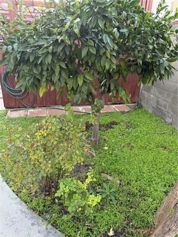 2037 N Brighton, Burbank, California 91504