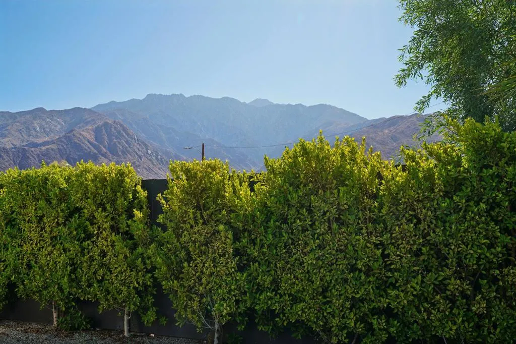 386 W Rosa Parks Road, Palm Springs, California 92262 home-pic-50