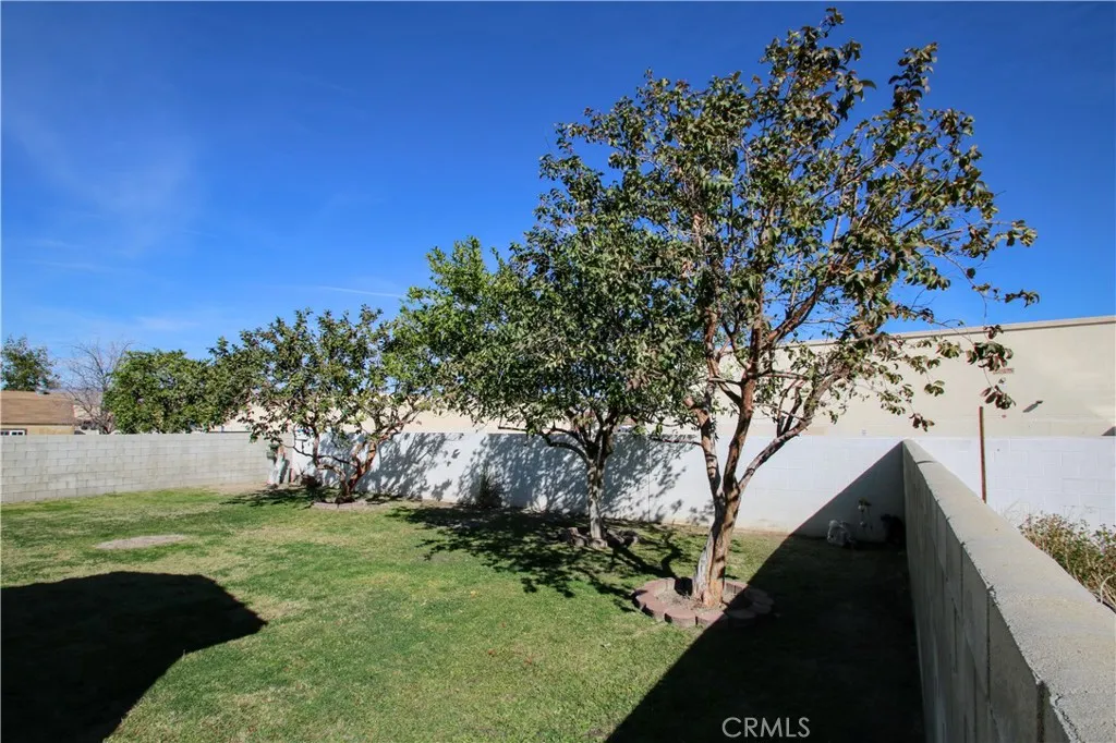 31540 Avenida Del Padre, Cathedral City, California 92234 home-pic-46