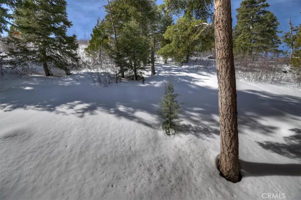1370 Primrose Court, Big Bear Lake, California 92315 home-pic-37
