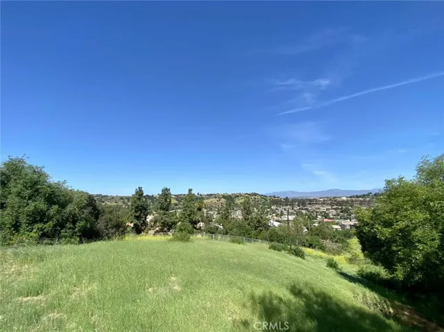 Back Yard View