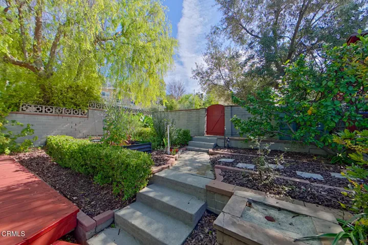 18 Back Yard (4)