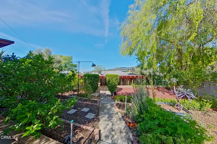 18 Back Yard (5)