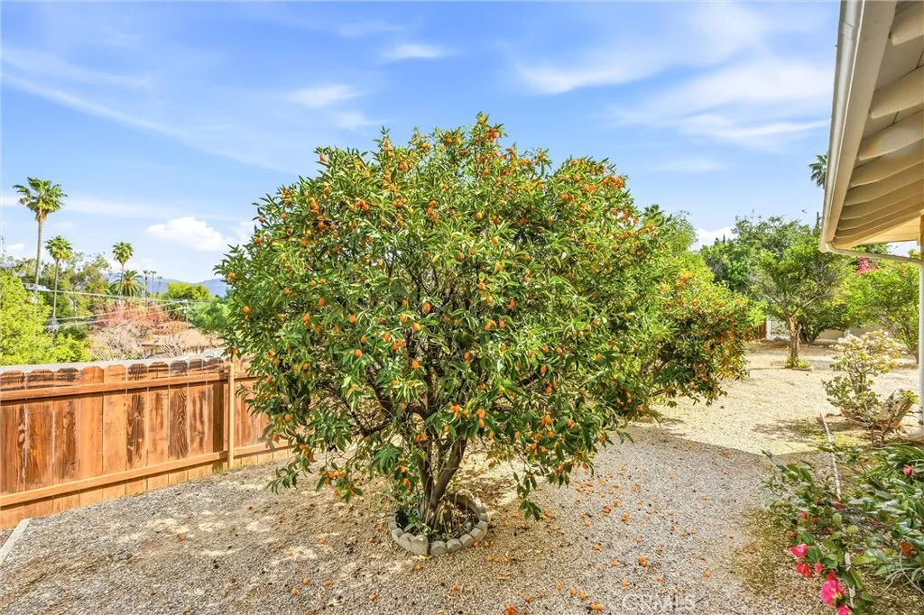 1631 Benita Marie Crest, Redlands, California 92373 home-pic-43