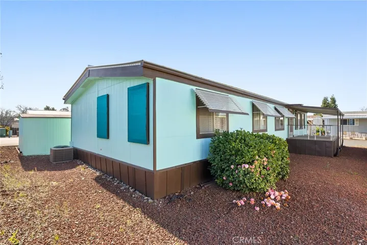 Back and side yard