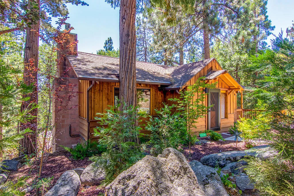 25284 Lakeview Drive, Idyllwild, California 92549 home-pic-1