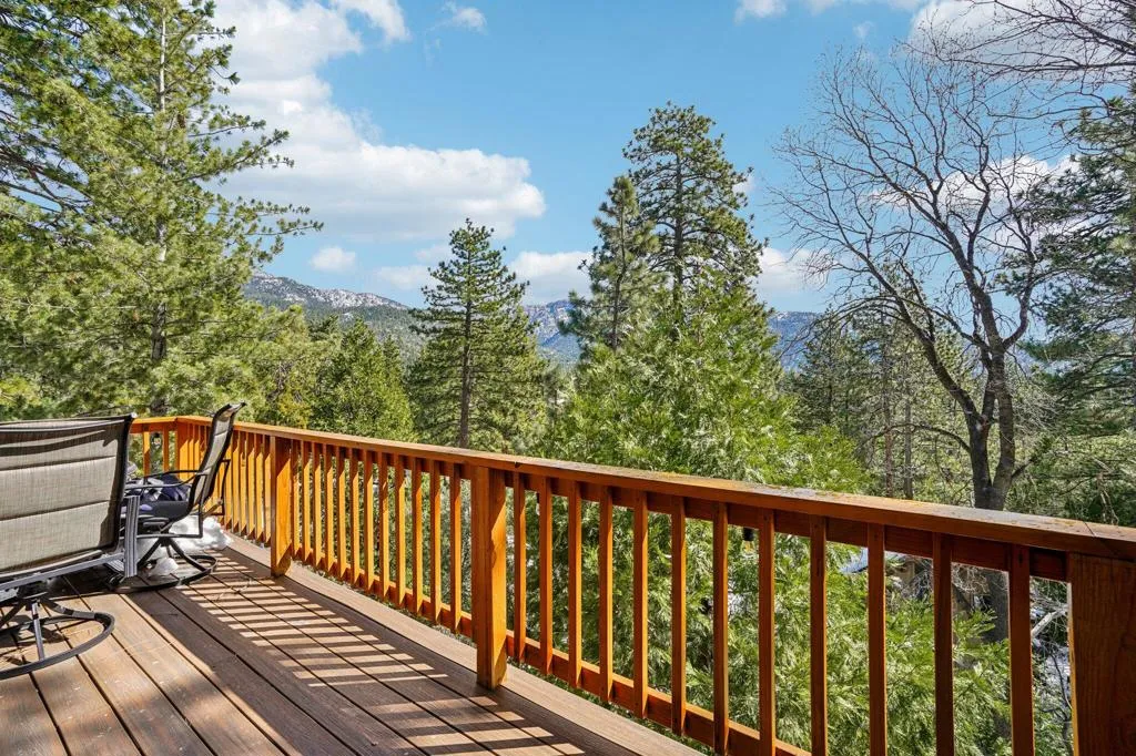 25284 Lakeview Drive, Idyllwild, California 92549 home-pic-48