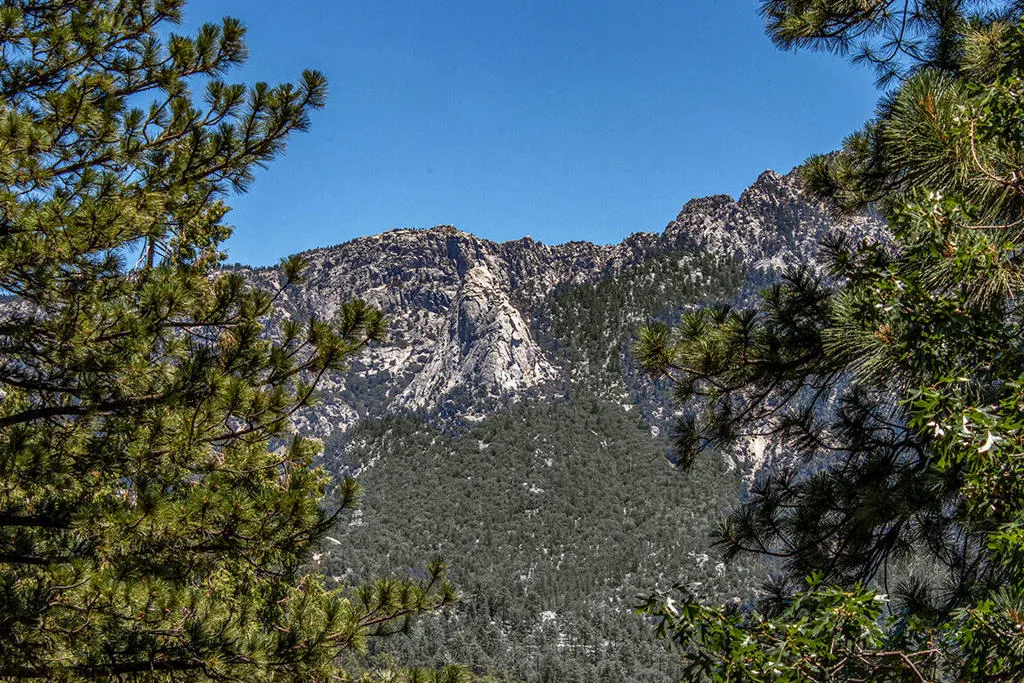 25284 Lakeview Drive, Idyllwild, California 92549 home-pic-3