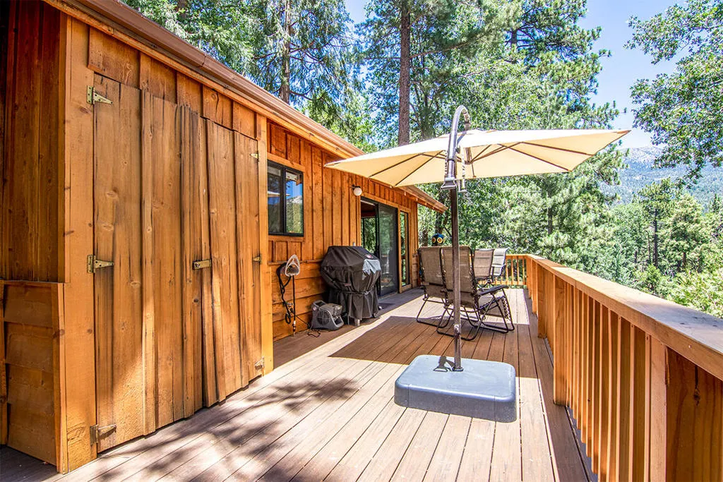 25284 Lakeview Drive, Idyllwild, California 92549 home-pic-56