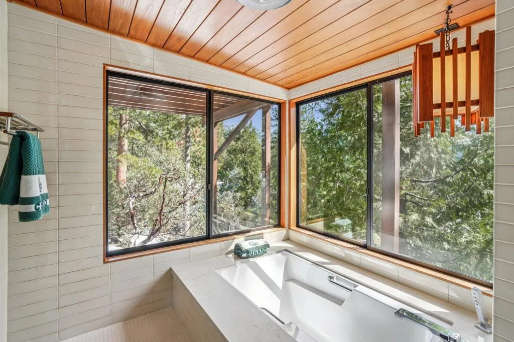 25284 Lakeview Drive, Idyllwild, California 92549 home-pic-41