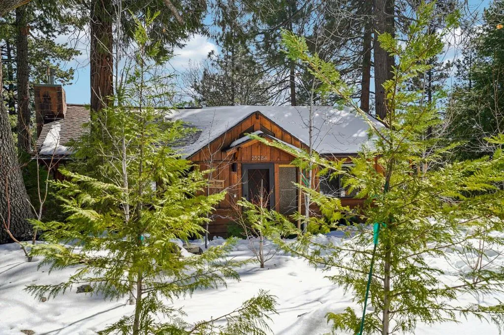 25284 Lakeview Drive, Idyllwild, California 92549 home-pic-61