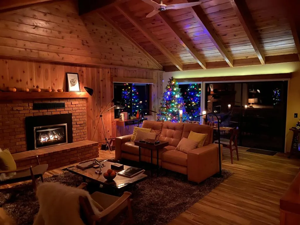 25284 Lakeview Drive, Idyllwild, California 92549 home-pic-10