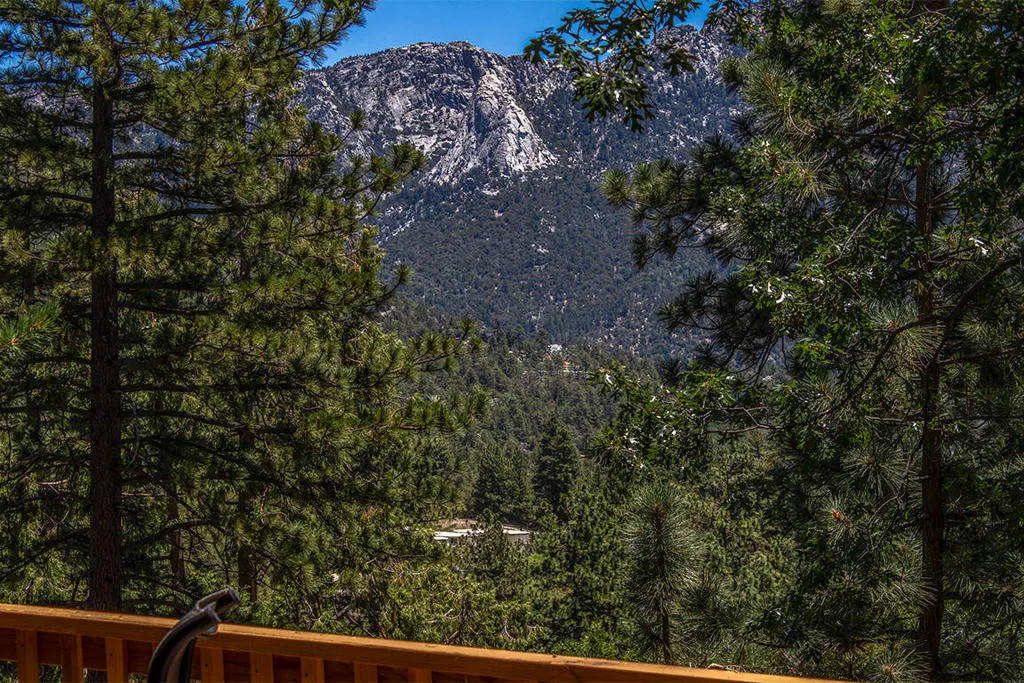 25284 Lakeview Drive, Idyllwild, California 92549 home-pic-51