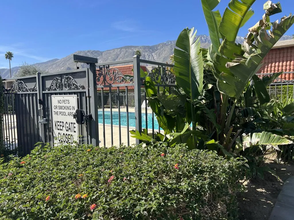 232 E Via Escuela C, Palm Springs, California 92262 home-pic-34