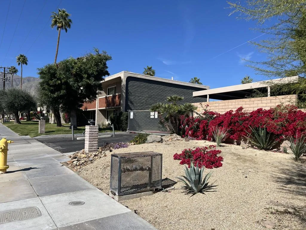 232 E Via Escuela C, Palm Springs, California 92262 home-pic-40