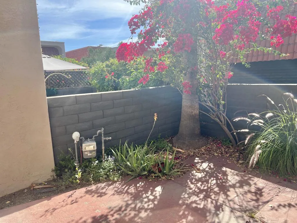 232 E Via Escuela C, Palm Springs, California 92262 home-pic-30