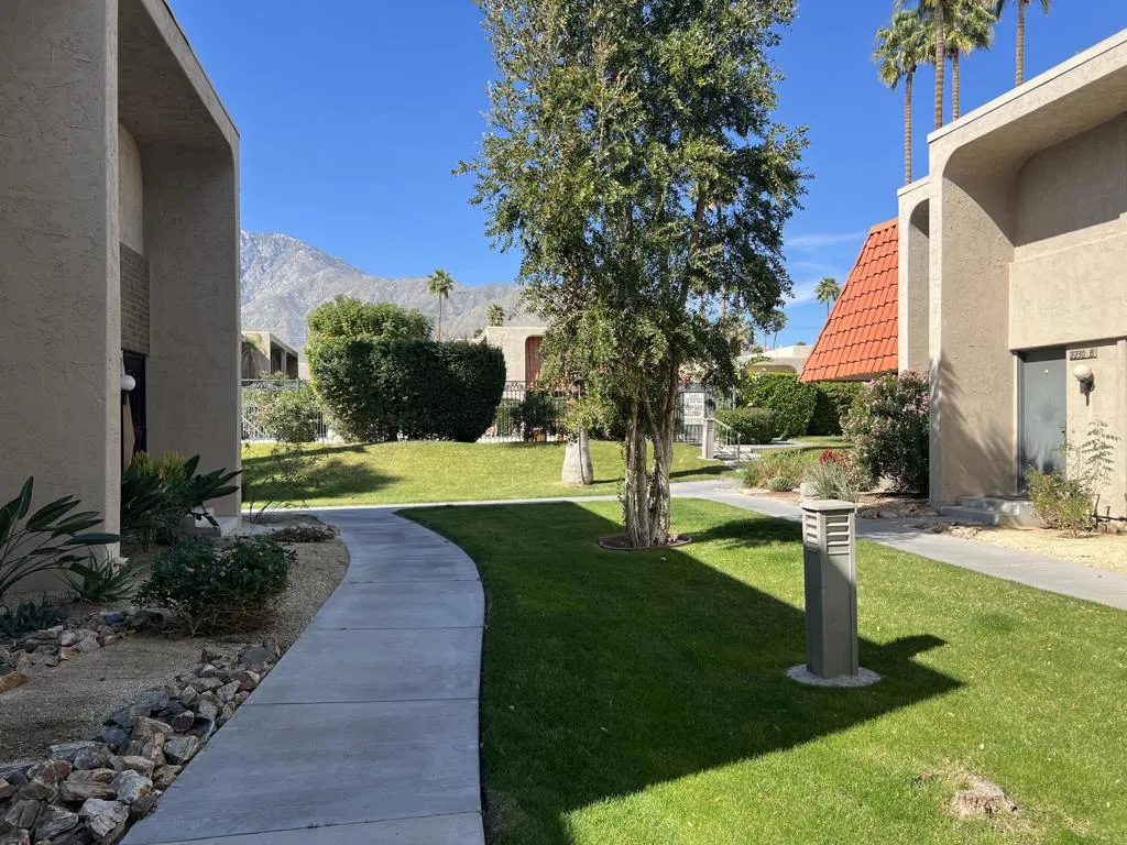 232 E Via Escuela C, Palm Springs, California 92262 home-pic-37
