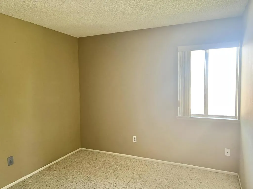 232 E Via Escuela C, Palm Springs, California 92262 home-pic-19