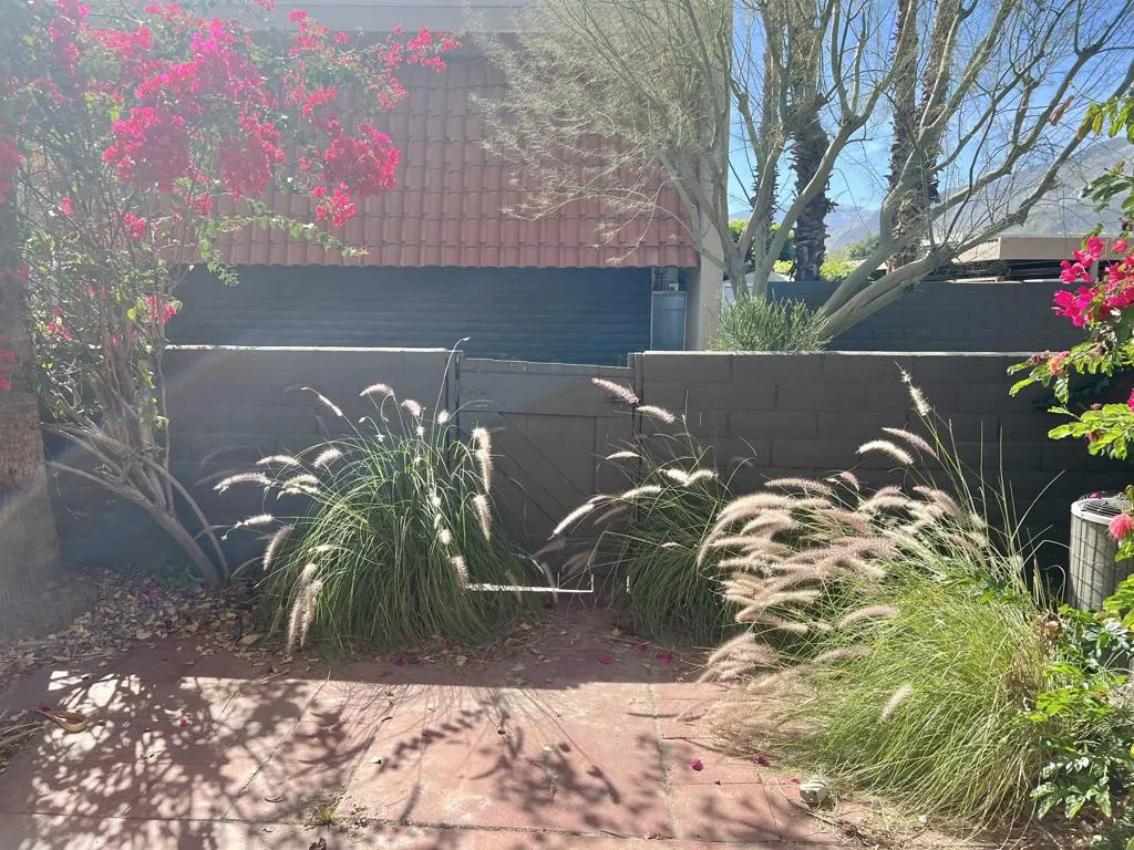 232 E Via Escuela C, Palm Springs, California 92262 home-pic-31