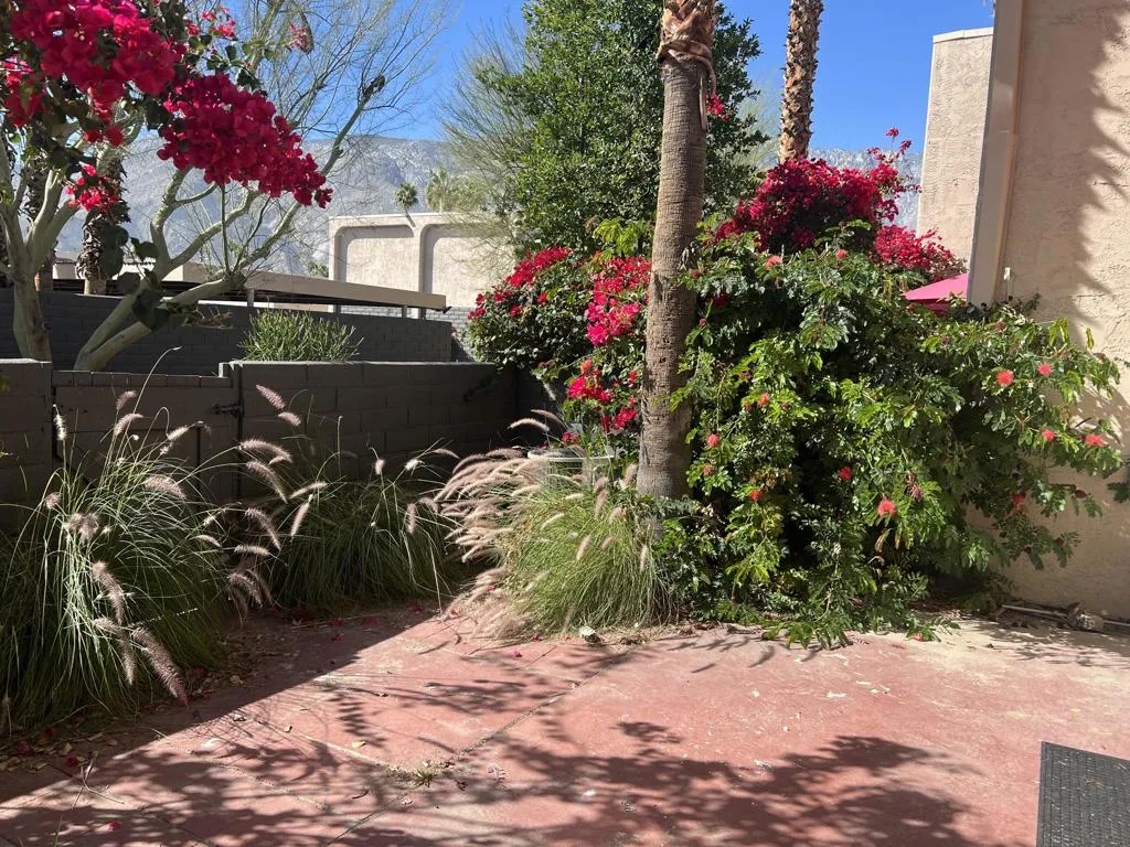 232 E Via Escuela C, Palm Springs, California 92262 home-pic-32