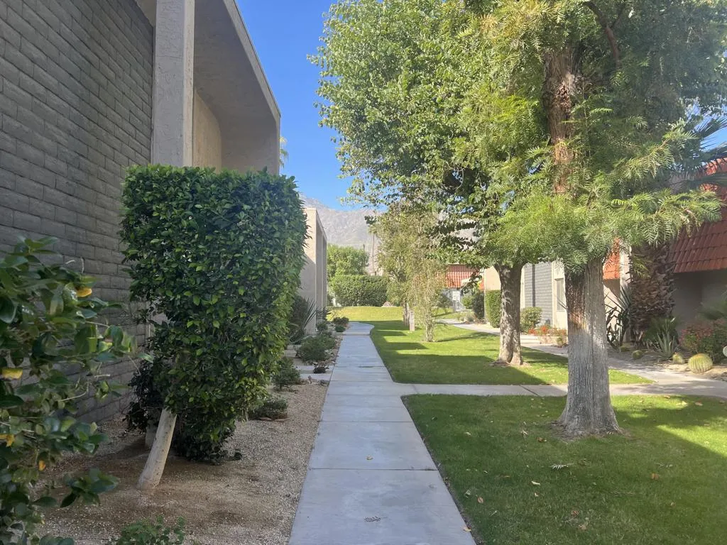 232 E Via Escuela C, Palm Springs, California 92262 home-pic-2