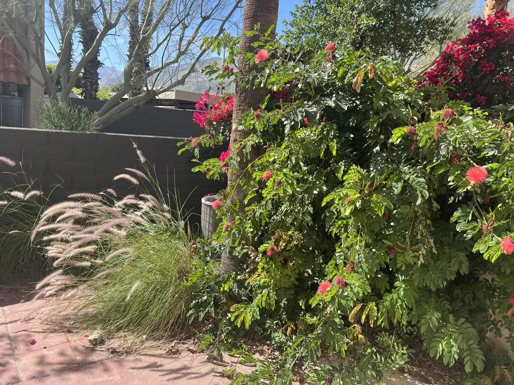 232 E Via Escuela C, Palm Springs, California 92262 home-pic-29