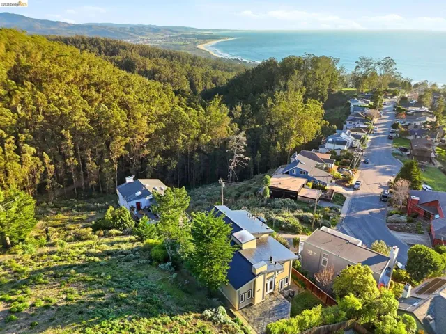 Aerial perspective of suburban area with a large body of water and a heavily wooded area