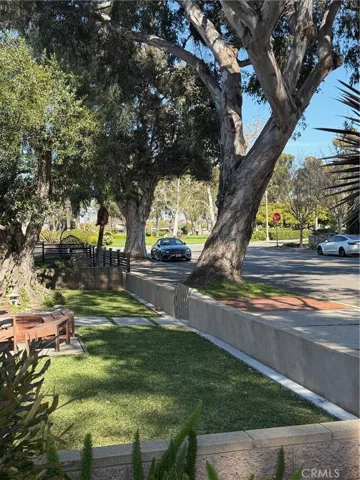 Park From Front Yard