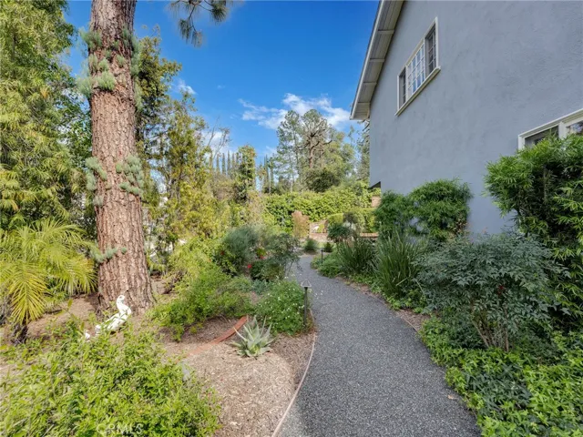 Private side yard