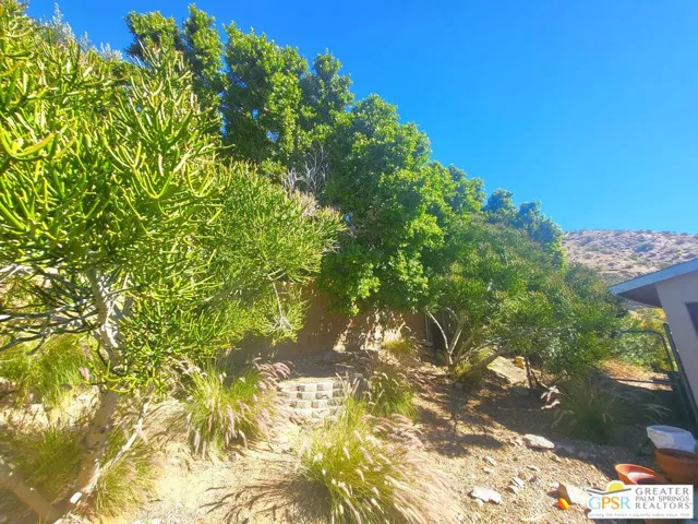 Privacy & Greenery Are Yours