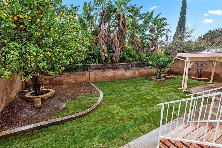 Grassy backyard with Fruit trees