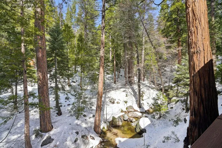 35-web-or-mls-Rim Rock Rd-S2502-035