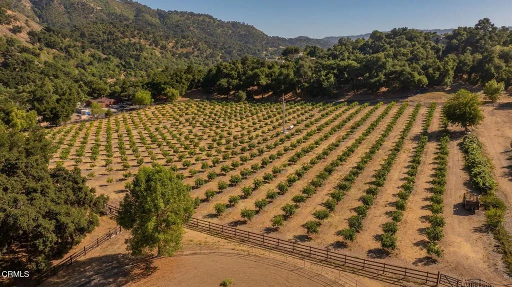 10829 10883 10883 Oak Knoll Road, Ojai, California 93023 home-pic-19