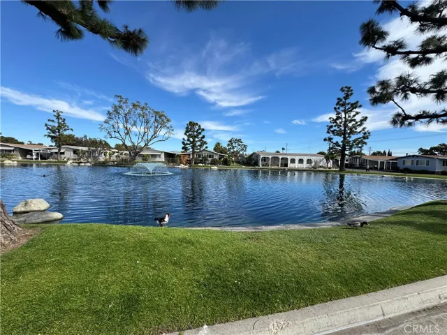 Duck pond

