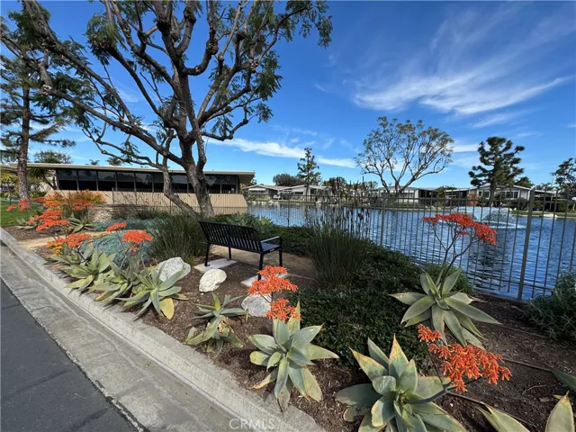 Park landscape