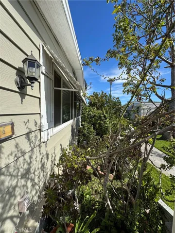 side yard
