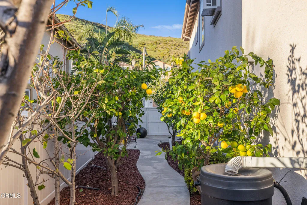 3118 Foxtail Court, Thousand Oaks, California 91362 home-pic-28