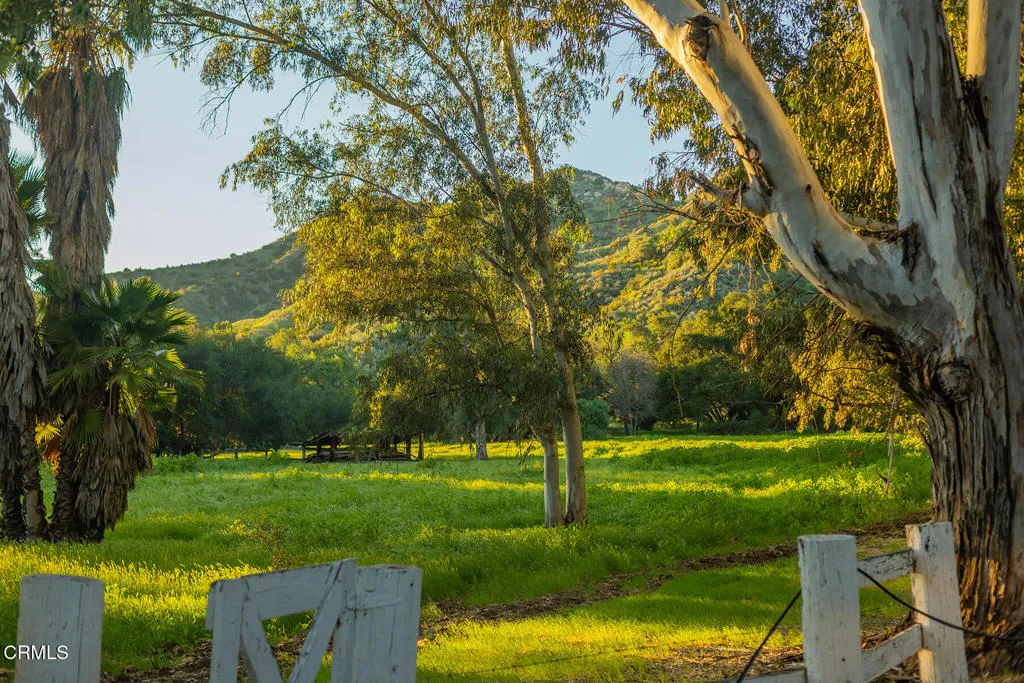 1519 Ayers Avenue, Ojai, California 93023 home-pic-2