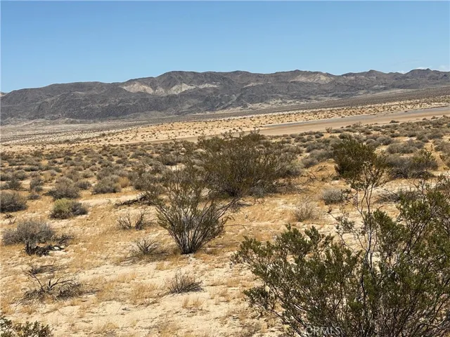 Looking north from just off Virtue Rd