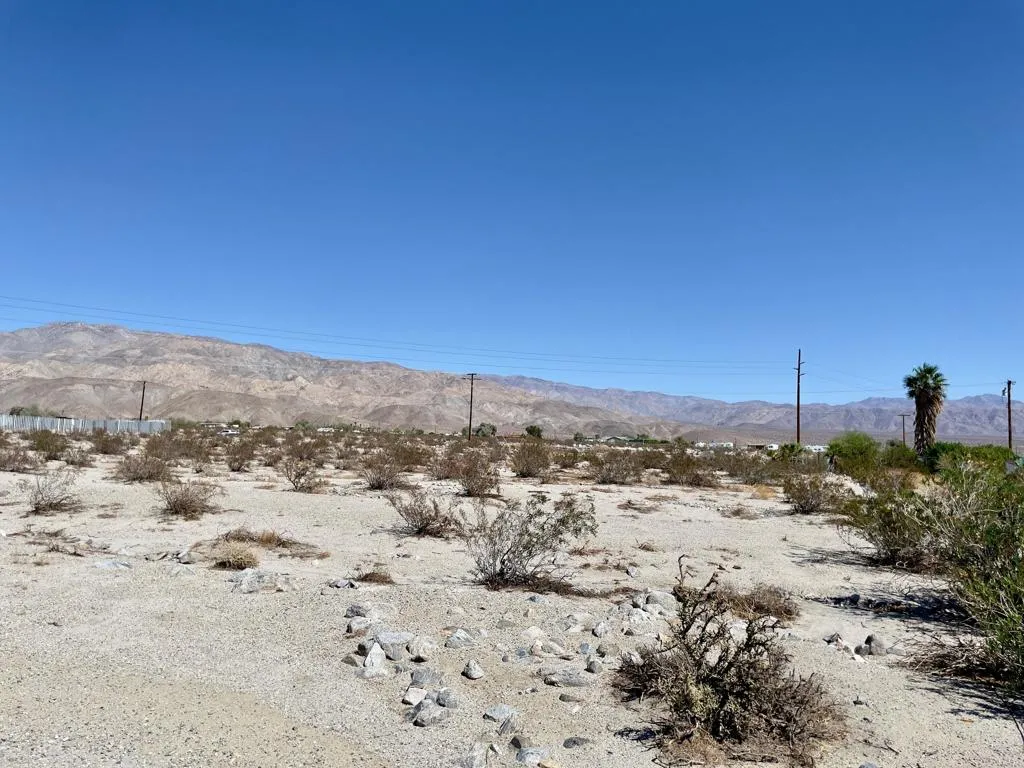 NE View 1