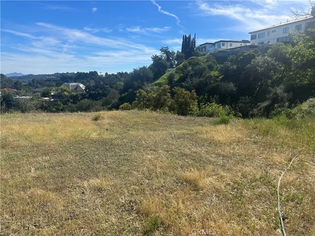 backyard views 4