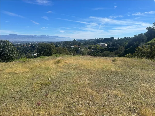 backyard views 3