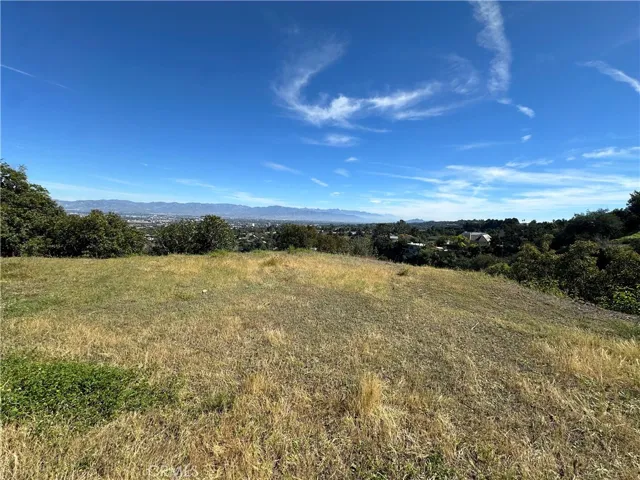 backyard views 1