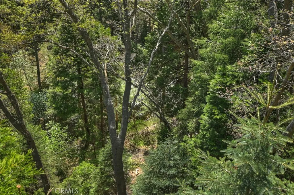 543 Community Drive, Lake Arrowhead, California 92352 home-pic-30