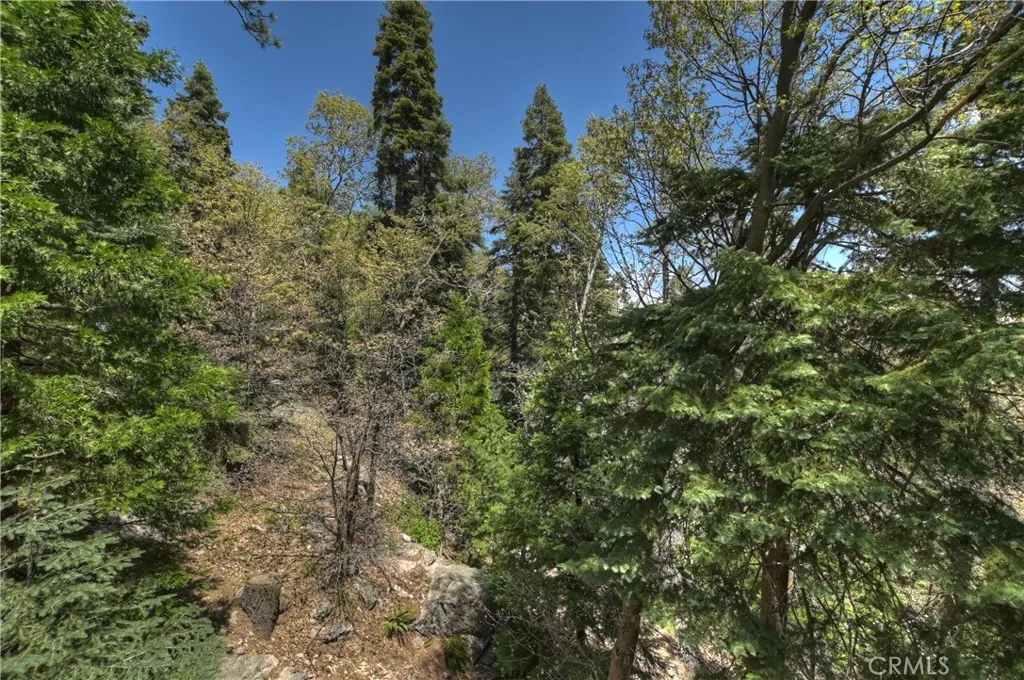543 Community Drive, Lake Arrowhead, California 92352 home-pic-29