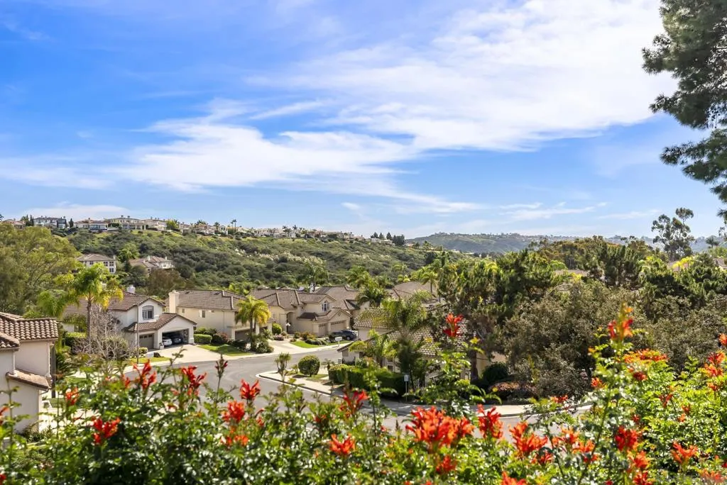 6927 Wildrose Ter, Carlsbad, California 92011 home-pic-46