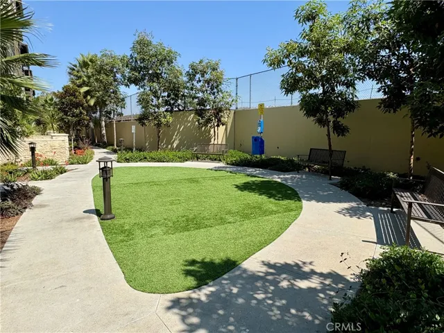 Dog Area